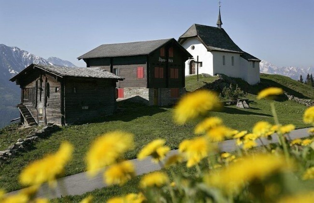 Photo 15