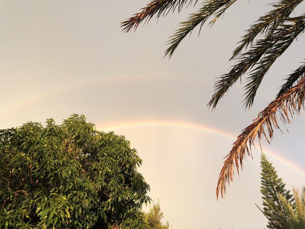 Hostel Nature