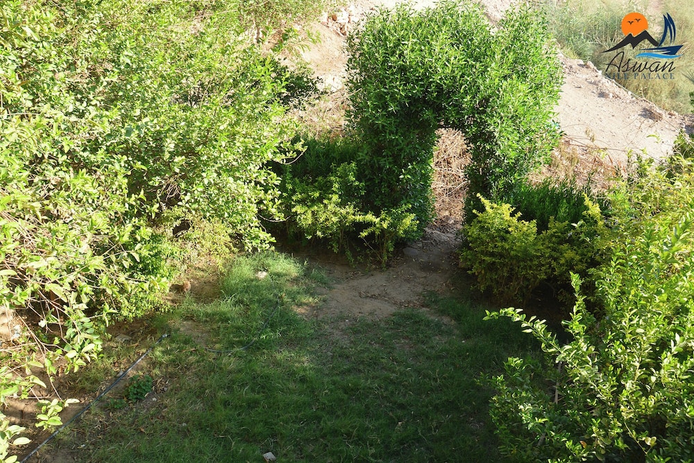 Photo 51