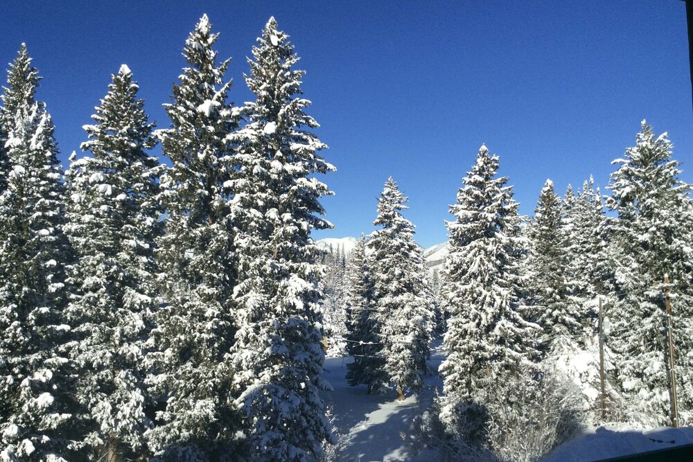 Ski-in/ski-out Solitude Condo w/ Rooftop Hot Tub!