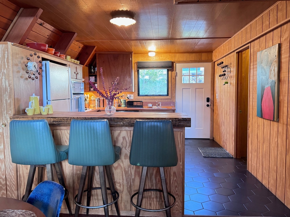 Mid-century Modern A-frame Time Capsule
