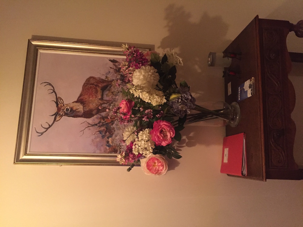 Marnic House B&B