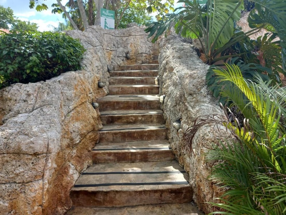 Photo 31