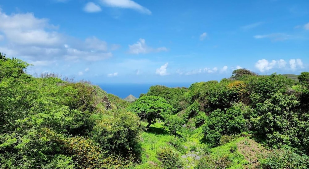 Casinha Nova - Entire Home With City & Ocean View in Sao Filipe