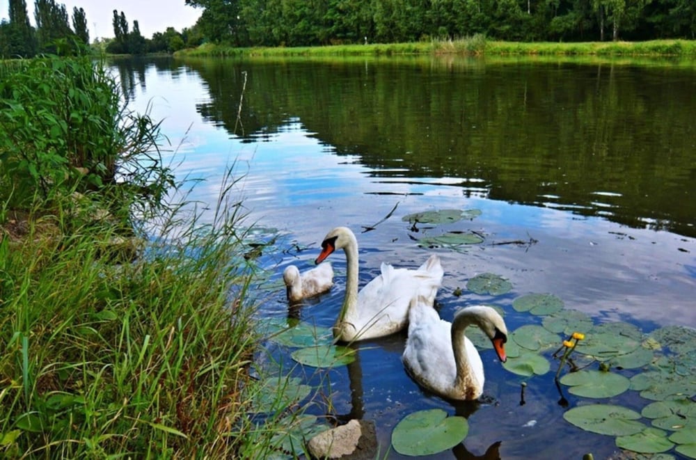 Holiday Home in Kladno With Private Pool