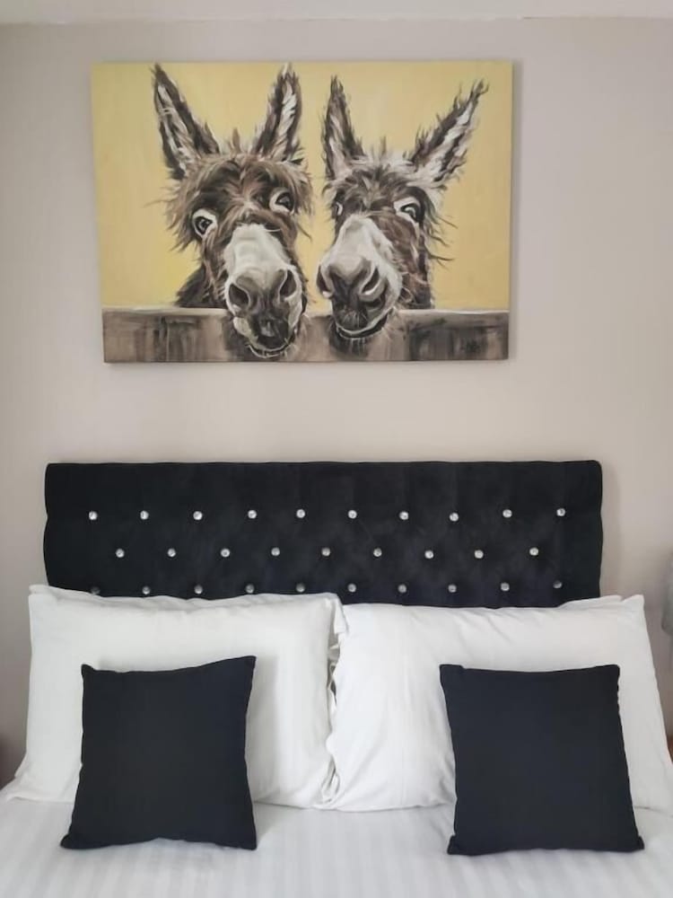 Q Accommodation