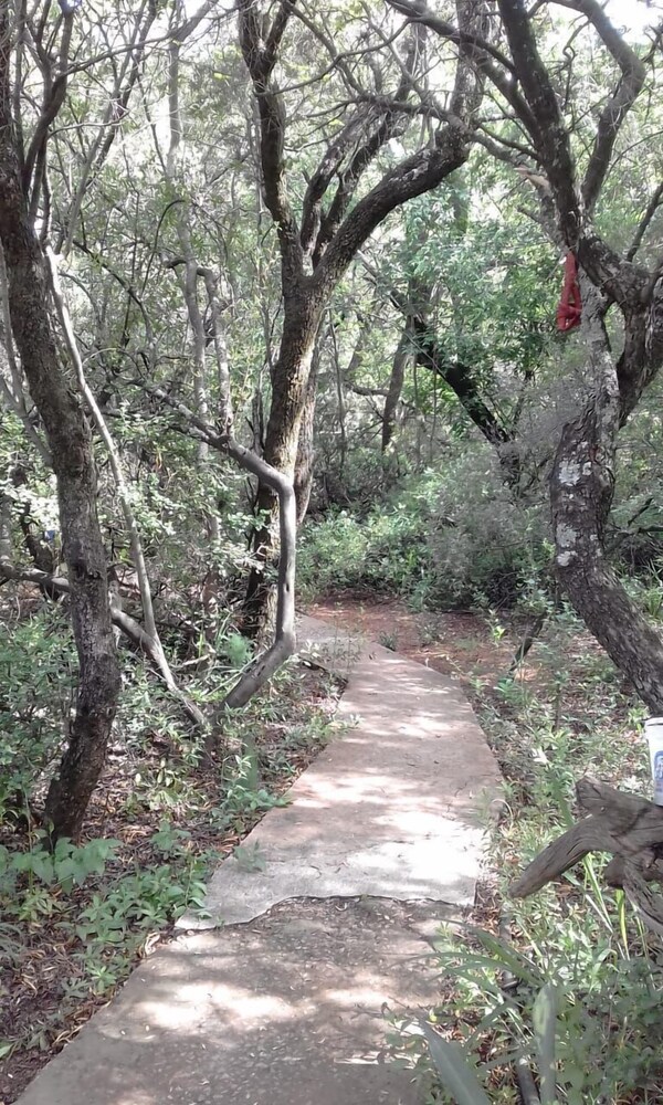Photo 9