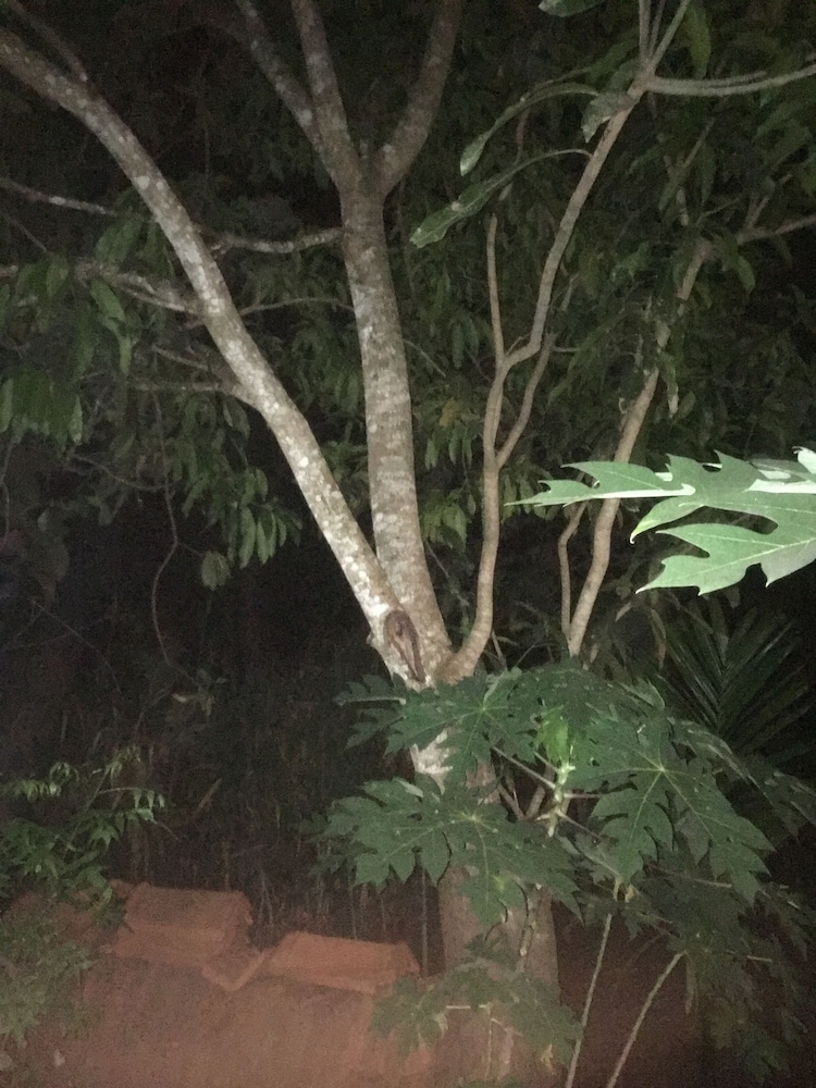 Photo 42