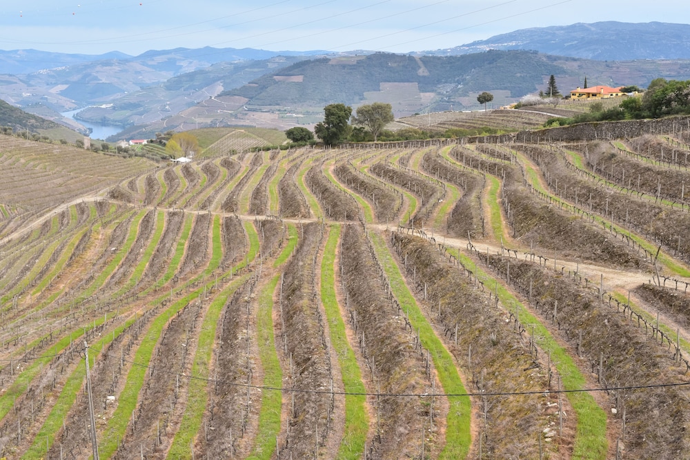 Feel Discovery Quinta do Muro view 2