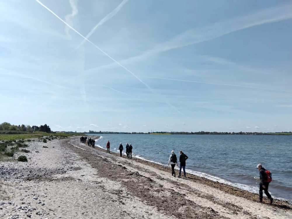 4 Person Holiday Home in Martofte