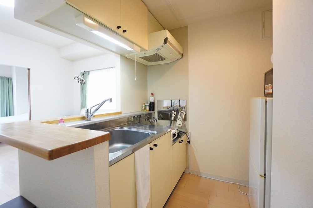 IK Minami6Jo Residence 1003 view 5