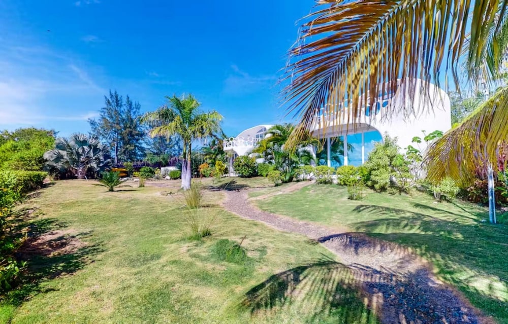 Turtle Studio in Placencia Village
