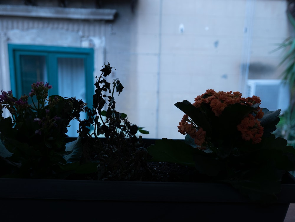 other