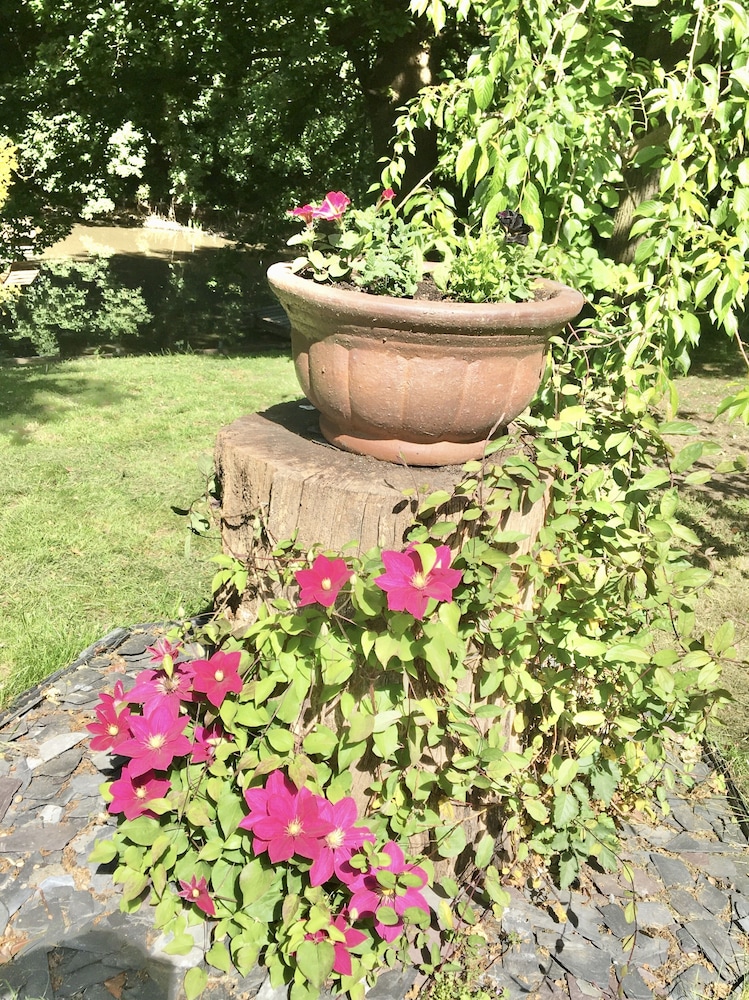 Charming 1-bedroom Apartment Near South Downs