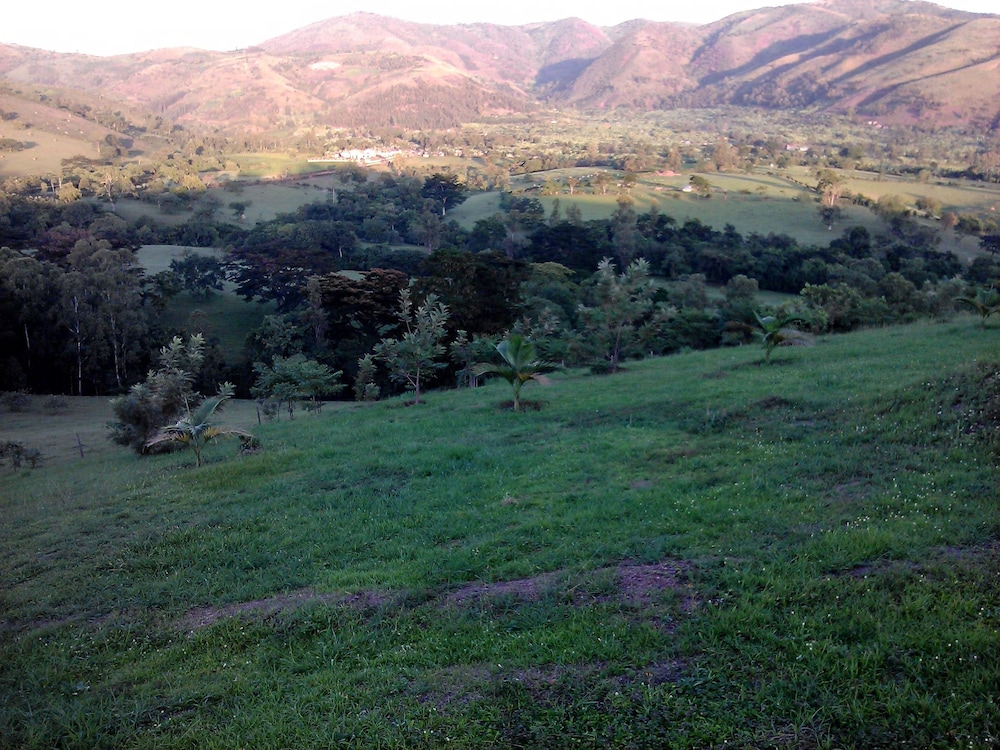 The Crested Crane Bwindi
