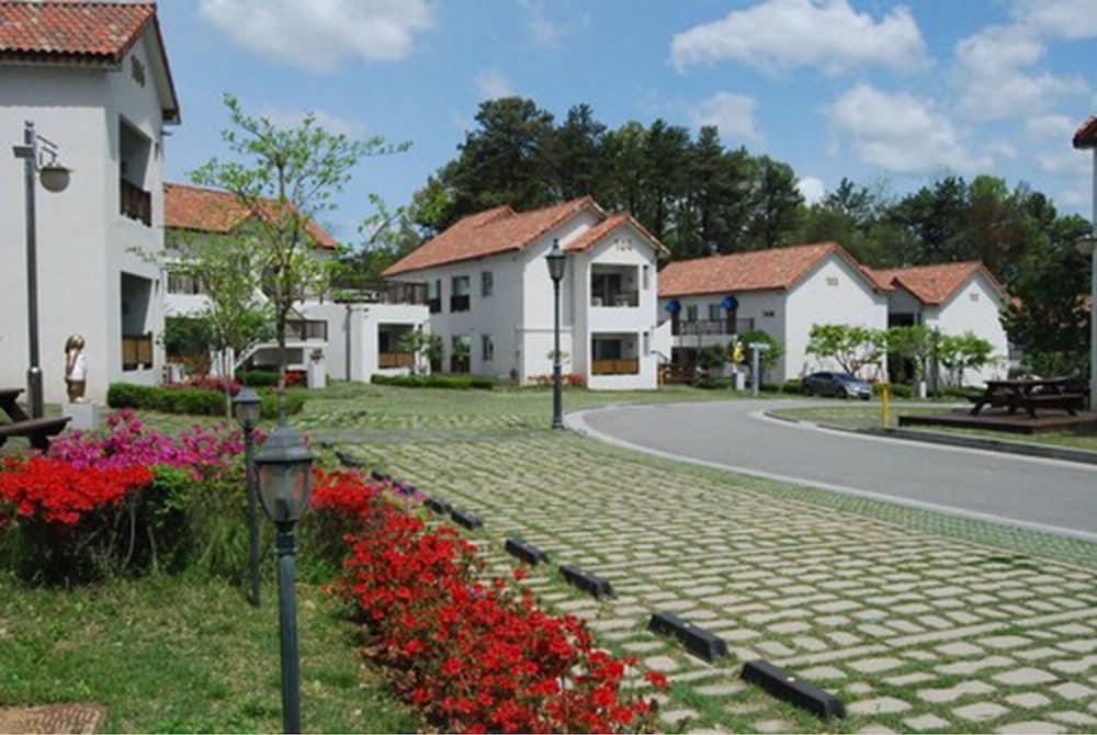 Damyang Meta Pension