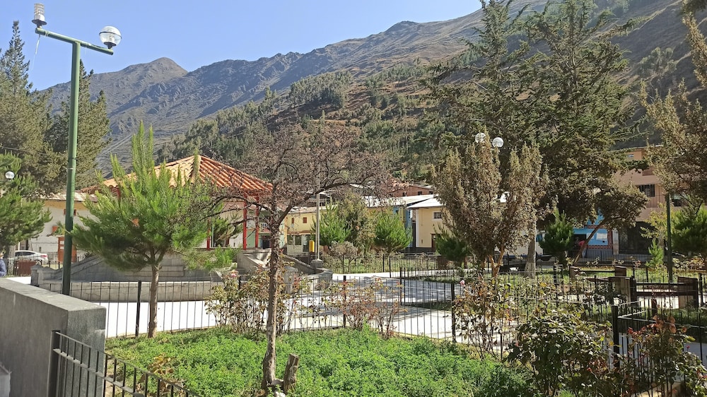 Photo 19