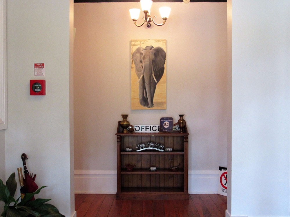 The White Elephant Accommodation - Hostel