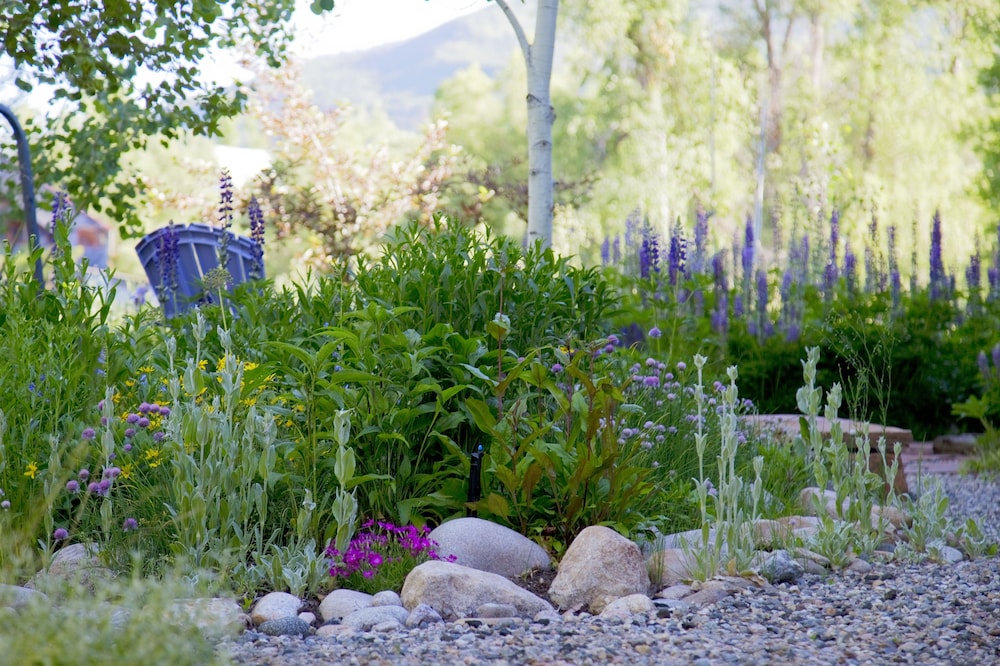 Mariposa Lodge B&B