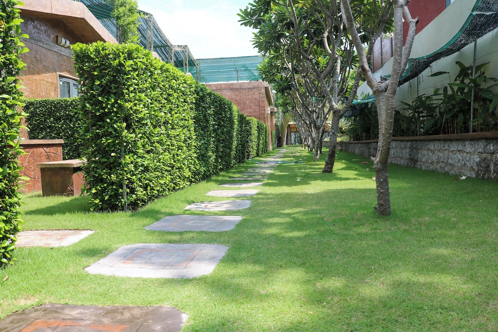 Photo 19