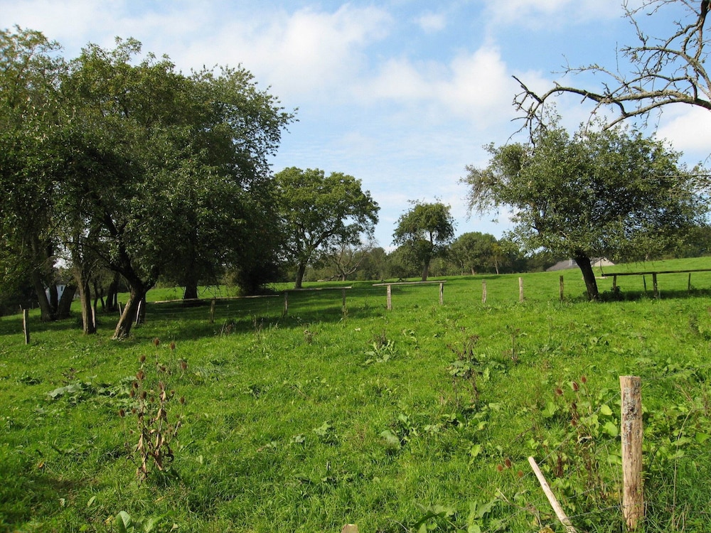 Family Villa in Ferrieres