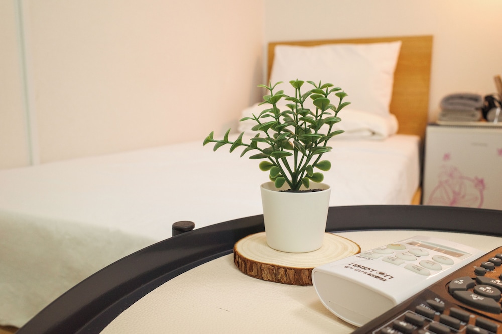 Starria Hostel foreign guest only 52