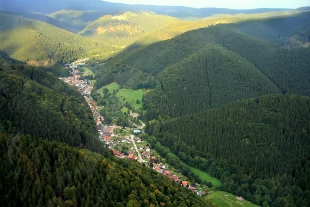 Klein Holland Harz
