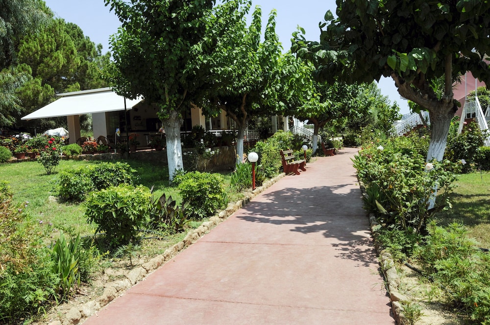 Apartments Hotel Alexandros view 4