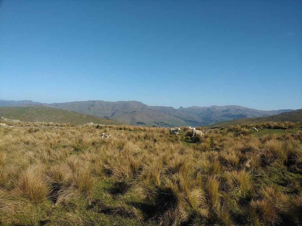 Photo 49