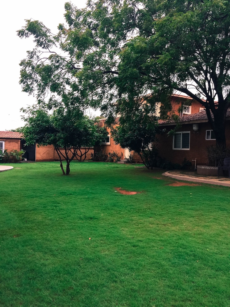 Dream Valley Resort
