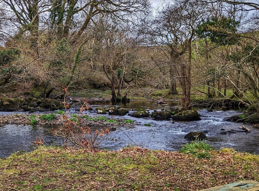 Crib Goch Cozy Dog-friendly Cabin Retreat