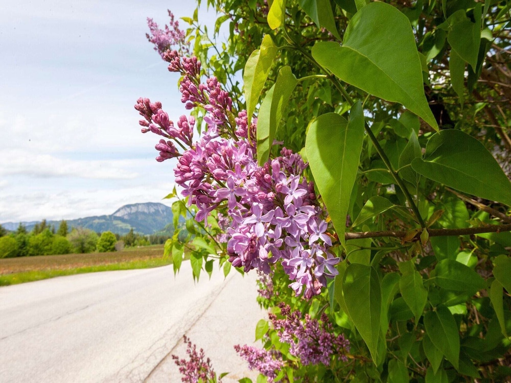 Holiday Home Brixen Valley Ski Bus Access