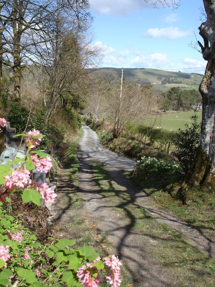 The Clochfaen, Foto 33