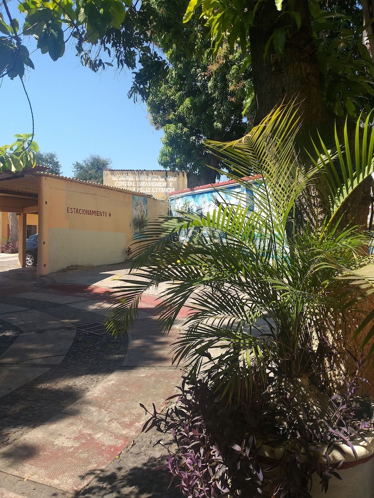 Colima Vacations - Hotel Rio Colima - Property Image 9