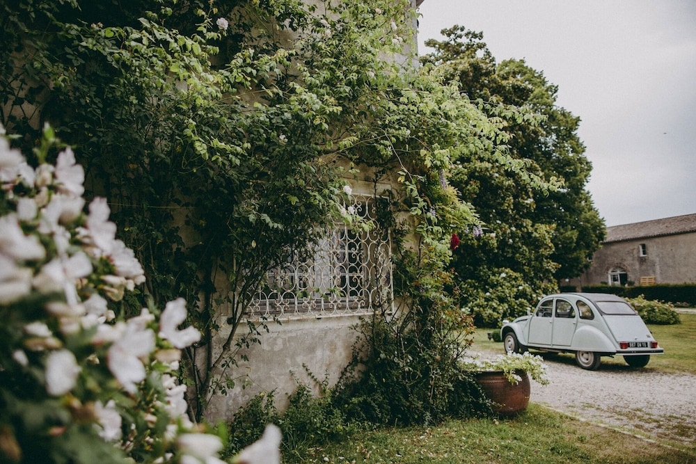CHATEAU DE PUYRIGAUD - Property Image 19