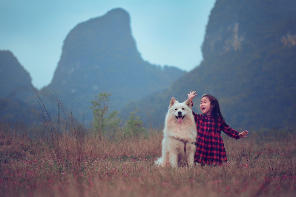 Yangshuo Xingping Island Resort