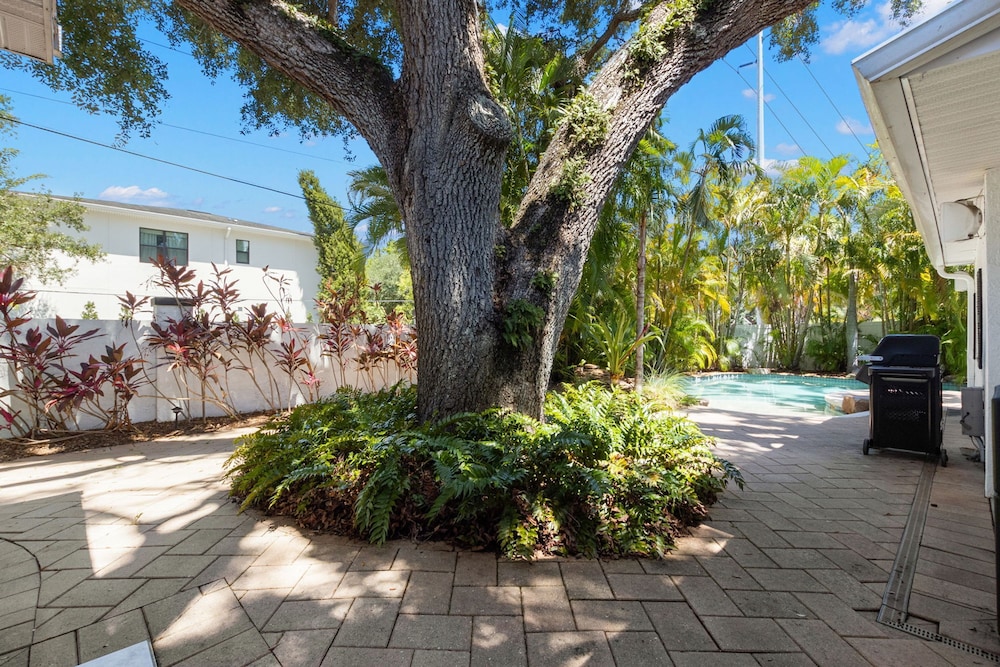 NEW Sunset Serenity - South Tampa Home With Pool