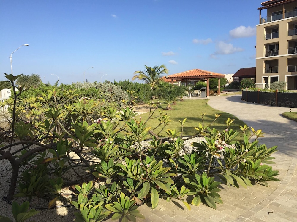 Lovely Sea View,eagle Beach, Oasis Condominium Wifi