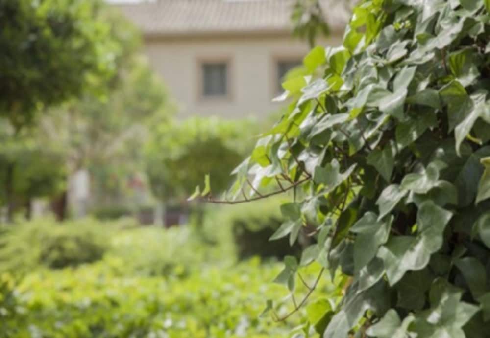 Confluent Health Resort - Property Image 8