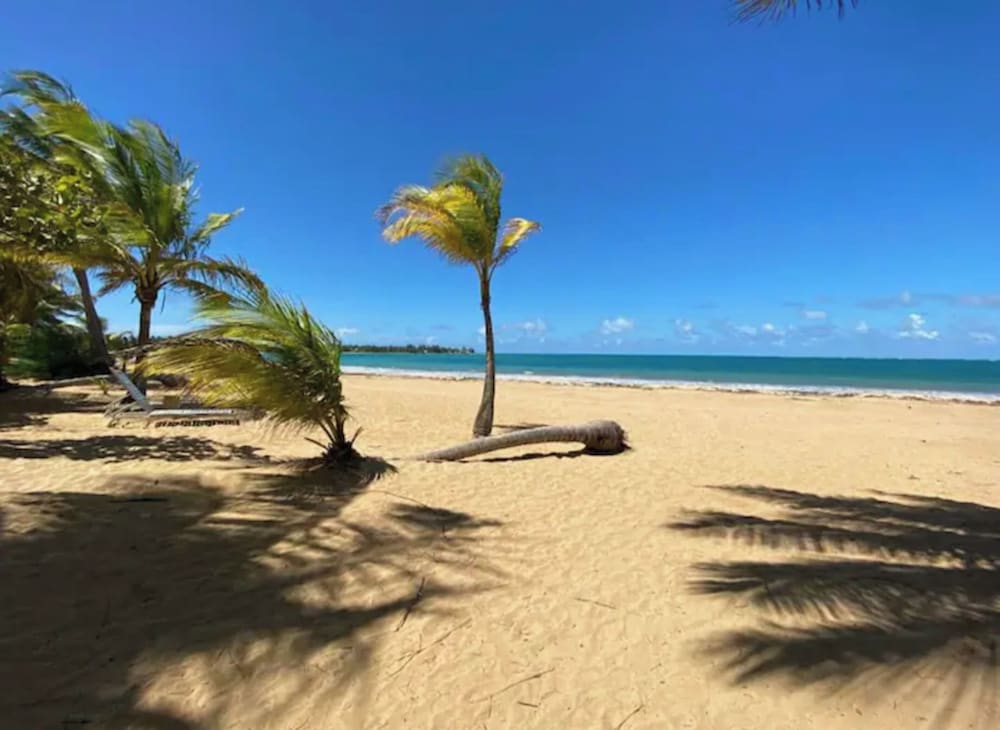 Beachside Adventure Suites - Property Image 13