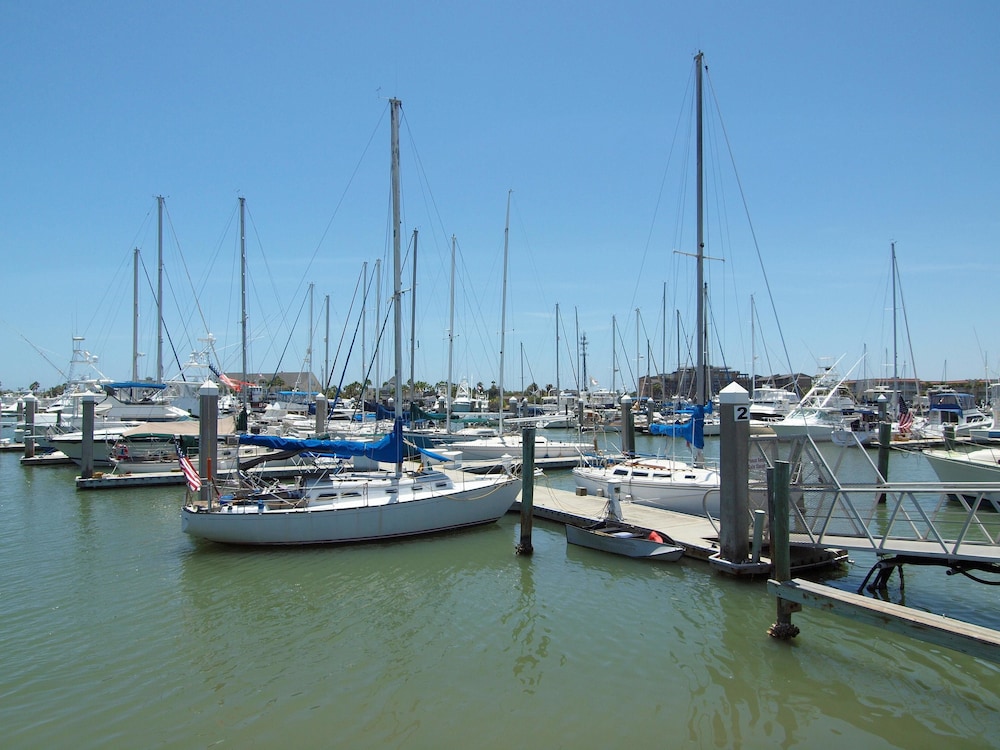 Blue Heron Bayou OV17