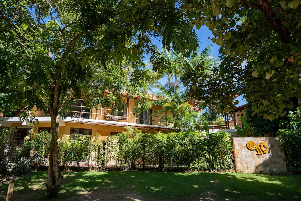 Espaço do Sagui