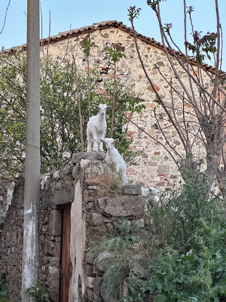 Sacide Hanım Konağı Butik Otel