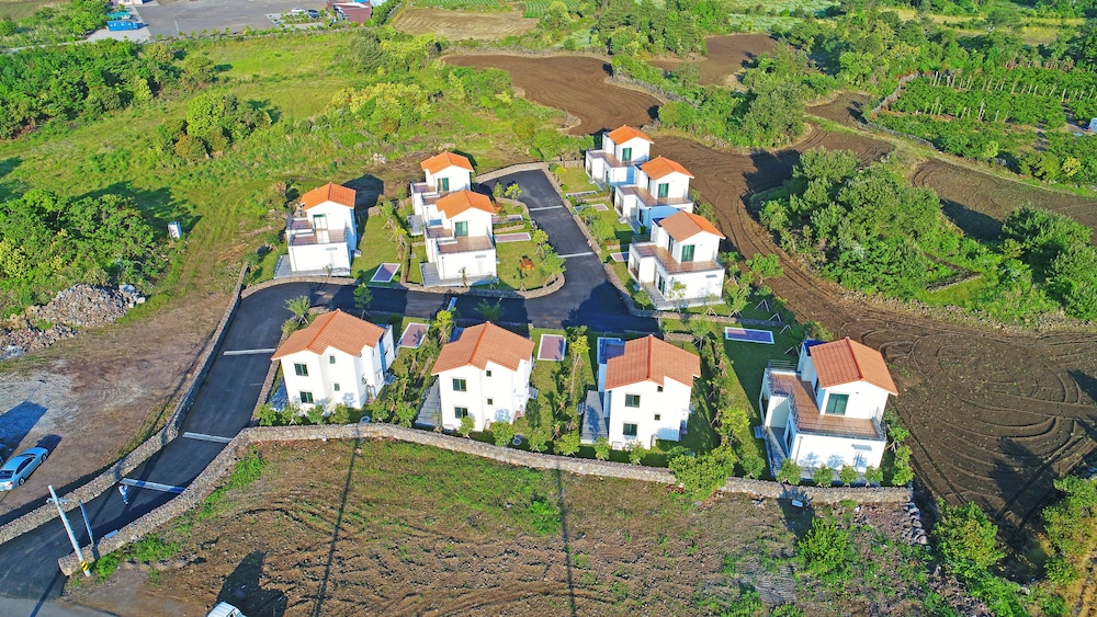 Dream in Jeju