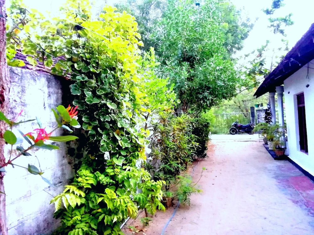 Photo 38