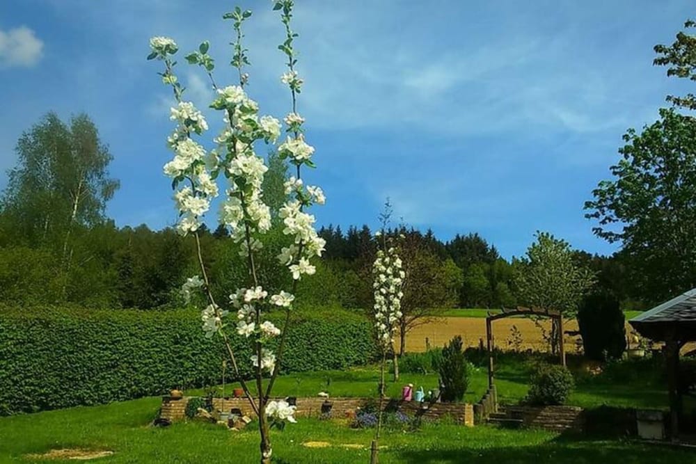 Holiday Home With hot tub in Vielsalm
