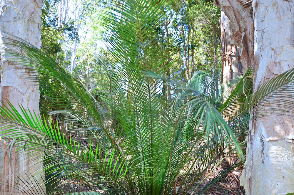 Jervis Bay Cabins & Hidden Creek Campsite