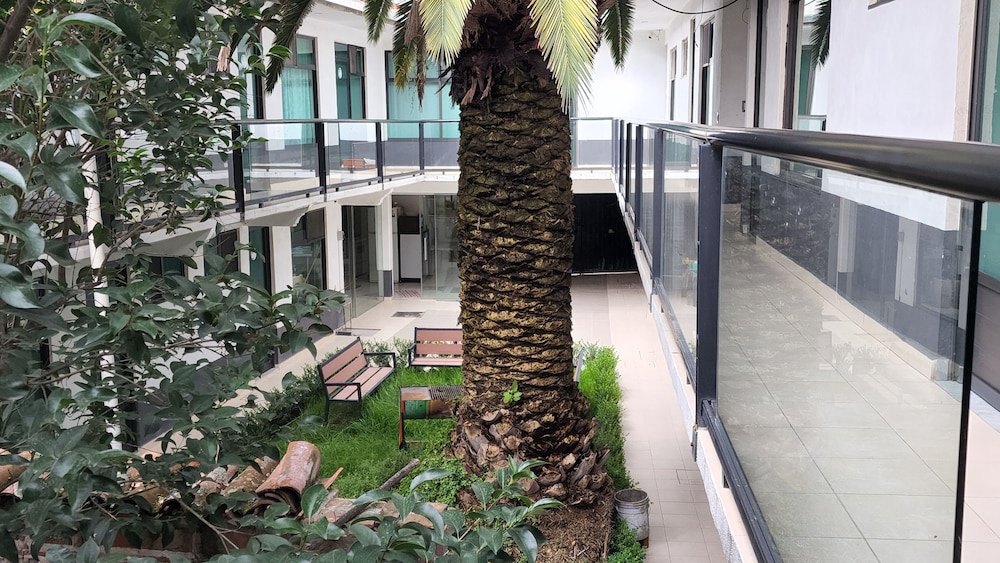 La Palma Co-living view 2