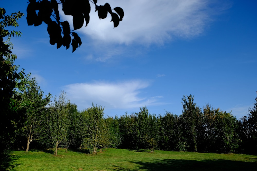 Photo 47
