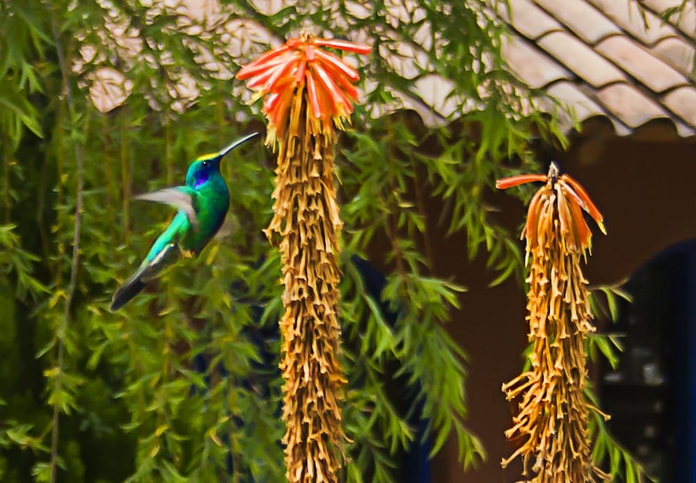La Capilla Lodge